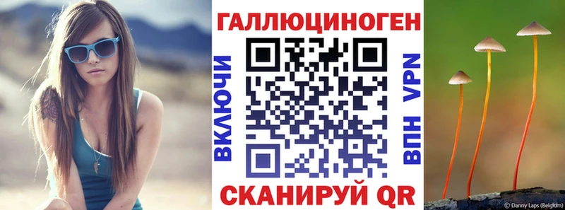 закладка  Троицк  Псилоцибиновые грибы GOLDEN TEACHER 